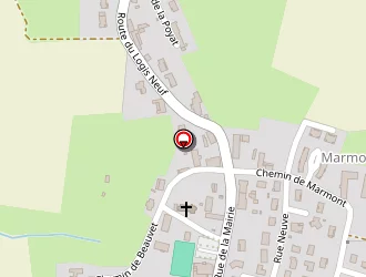 Carte de Ricol Marie-christine à Vandeins