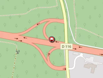 Carte de Les Elfes De La Foret Mam à Benon