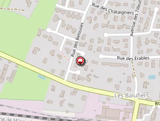 Carte de Bernard à Vonnas