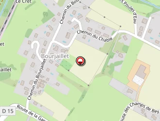 Carte de Borgeal Electricité à Saint-cergues