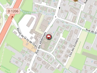 Carte de Savelys à Saint-cergues