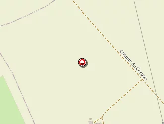 Carte de Cerf à Saint-didier-la-forêt