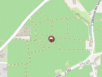 Carte de Garage Laval à Juliénas