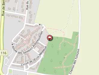 Carte de Tchang Annabelle à Courçon