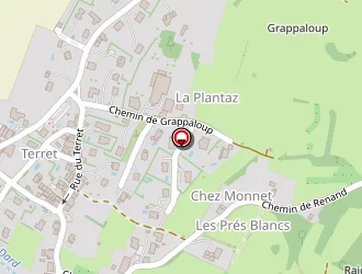 Carte de Raphoz Pierre à Saint-cergues