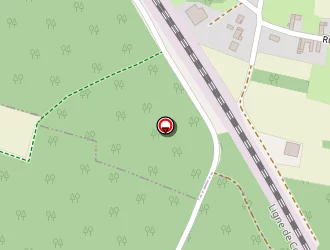 Carte de Gomard David à Cormoranche-sur-saône