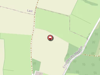 Carte de Crégniot Mickaël à Cruzilles-lès-mépillat