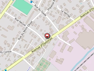 Carte de Thévenin Alexandra à Bellignat