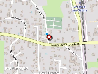 Carte de Eschmann Jean-pierre à Crêches-sur-saône