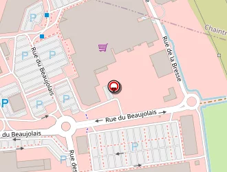 Carte de Maxi Zoo à Crêches-sur-saône