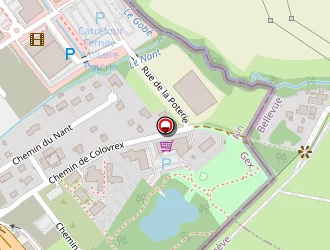 Carte de Professional & Consultancy Services à Ferney-voltaire