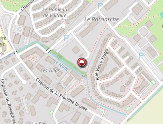 Carte de Builles Grégory à Ferney-voltaire