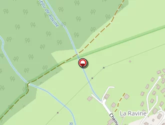 Carte de Thoule Norbert à Châtel