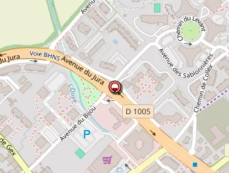 Carte de Z Express à Ferney-voltaire