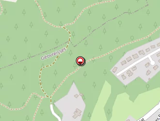 Carte de Neveu à Géovreisset