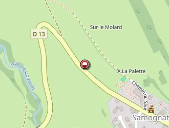 Carte de Salvi Electricité à Samognat