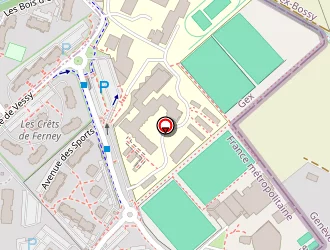 Carte de Satya à Ferney-voltaire