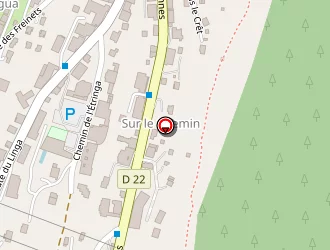 Carte de Hôtel Fleur De Neige à Châtel