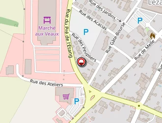 Carte de Jardet Stéphane à Lezay