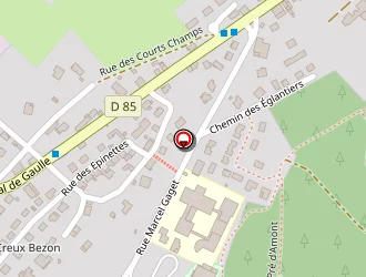 Carte de Collège Jean Rostand à Arbent