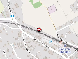 Carte de Zingservice à Bons-en-chablais