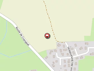 Carte de Rubin Gérard à Viriat