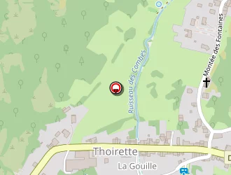 Carte de Penelas à Thoirette