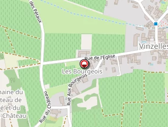 Carte de Lassarat Daniel à Vinzelles