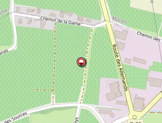 Carte de Griffon à Vinzelles