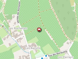 Carte de Crisantemo Joëlle à Chasselas