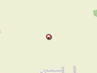 Carte de Manissier Florence à Viriat