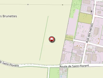 Carte de Bouillon Patricia à Aiffres