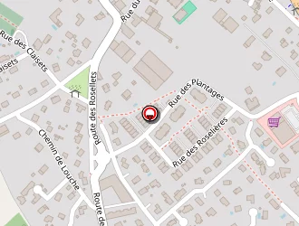 Carte de Feu Vert Services à Ségny