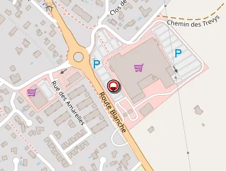 Carte de Montanari à Ségny