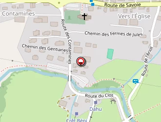 Carte de Bar Restaurant Le Fer Rouge à Chapelle-d'abondance (la)