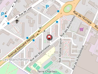 Carte de Couzian Gabriel à Mâcon