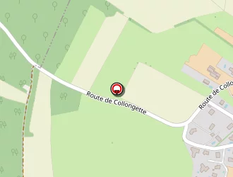 Carte de Berard Nadine à Douvaine