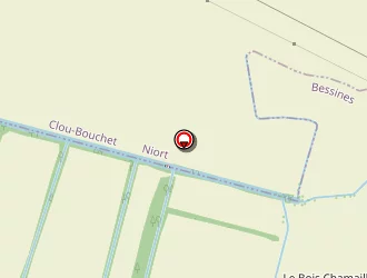 Carte de Brineau à Bessines