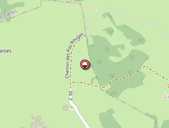 Carte de Perrier Antoine à Pesse (la)