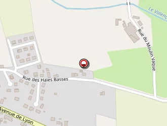 Carte de Ferreira Manuel à Varennes-sur-allier