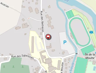 Carte de Desmarais Patrick à Saint-pourçain-sur-sioule