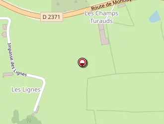 Carte de Denis Daniel à Montmarault