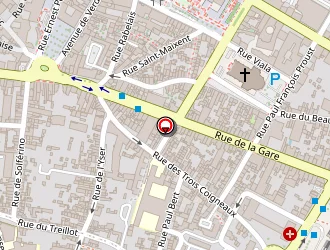 Carte de Bouin Taxi Services à Niort