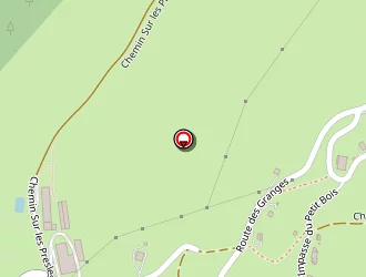 Carte de Détraz Denis à Orcier