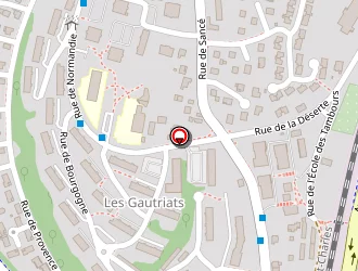 Carte de Gasnier Diane à Mâcon