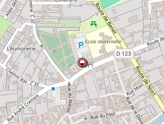 Carte de Idier Patrick à Coulon