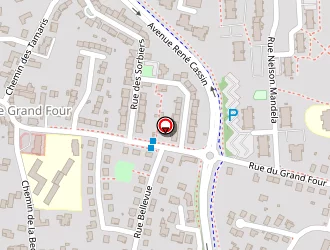 Carte de Entreprise G.millet à Mâcon