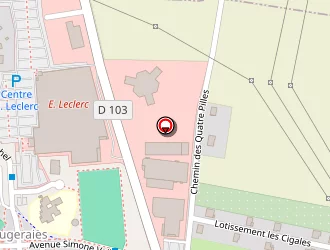 Carte de Leader Construction à Mâcon