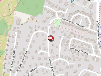 Carte de Voisin Yannick à Mâcon