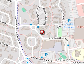 Carte de Taxi Service à Mâcon